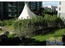 大开间,卫生间全明,品质小区,小区入口附近