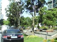 大华·嘉华苑(宝山)·2室·2厅