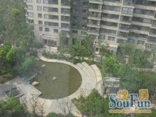 晋元可用,精装修,高楼层,采光好,视野无限。