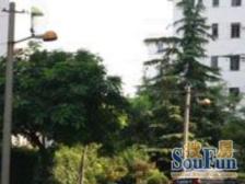 卫生间全明,大开间,品质小区,小区入口附近