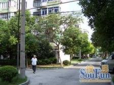 内环旁 出门黄兴路轨交 轻松上车一梯队控二书包 房东诚意出售