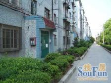 宝山一村4室南朝向490.00万元/套出售