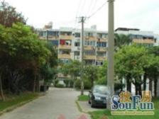 新上次顶楼电梯两房全明户型南北通业主诚意卖