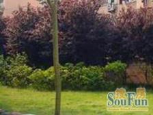 **·梅陇六村·【精装修】【有电梯】【拎包入住】