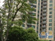 高区精装自住三房,满五税低,徐家汇ITC,南模初