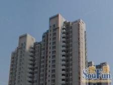 采光充足,视野好,近地铁,近商圈