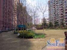 品质小区 出门就是世纪公园 楼龄新 飞机户型南北通