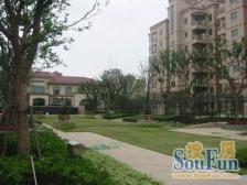 电梯房,主卧朝南,环境优美,居家装修,价格好谈