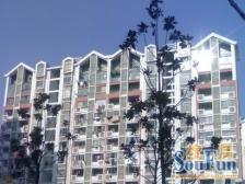 黄渡新上三房,满五税少,南北通户型方正,得房率高!