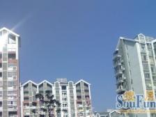 精装修 独栋别墅 院子很大 休闲娱乐 居住静谧