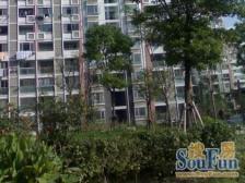 户型方正适合低预算上车低首付!!!