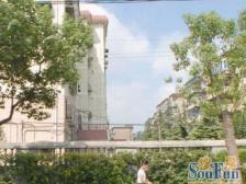 煌金楼层 双南户型!前后无遮挡!采光充足!清净宜居!生活佳选