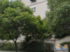 低楼层 小区中间位置 无遮挡 一梯两户 随时可以看