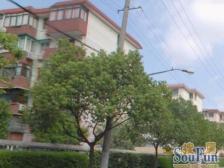 精装修:一梯两户:双南两房:业主诚心出售