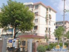 精装双南户型!前后无遮挡!采光非常充足!清净宜居!生活佳选!