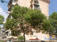 低楼层 小区中间位置 无遮挡 一梯两户 随时可以看