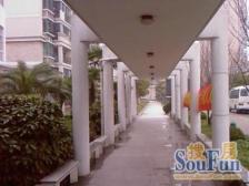 不能错过的小钢炮 高楼层采光充足 随时看房