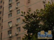 浦东新区杨东中福公寓3室采光好交通便利,高层景观房