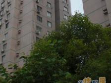 中福公寓2室1厅2卫东南朝向720.00万元/套出售