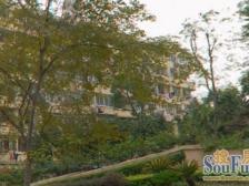 中区,边套,双阳台,新华路 · 又一村 · 2室 · 1厅