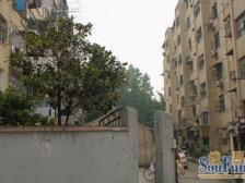 番禺路 幸福里旁 边套全明一房