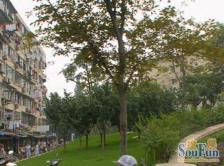 新华路·又一村·2室·1厅