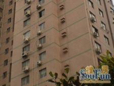 一口价?内环内?视野好大三房?拎包即住?