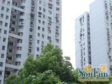 繁荣昌盛3室2厅南北