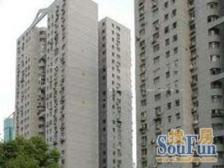 陆家嘴电梯高区、双南全天采光,视野景观俱佳,明珠A