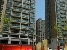 海洲国际华园 3室2厅 南 北