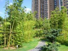 交通便利,近商圈,诚意出售,刚需好房