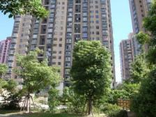 海洲国际华园 3室2厅 东 南 北