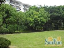 高楼层电梯房,户型正气,采光好,事业开阔。