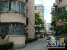 西边套双南双花园+3.11.12.23号线+近万科龙华会徐汇