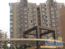 通风好,产权清晰 满五 新上房源