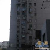 近地铁电梯房新上房源