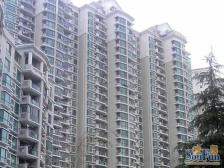 新挂牌,晋元,中间位置,电梯洋房,诚意急售