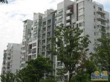 四季苑weiyi3楼一房,采光好视野无遮挡,精装拎包入住