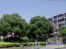 顶楼复式空中别墅,户型板正,大露台