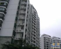 新上徐汇内环边,电梯高层,全明精装两房,总价低