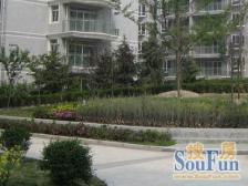 徐汇龙庭3室通透南北朝向1150.00万元/套出售