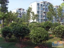 颛桥·**花园·4室·2厅