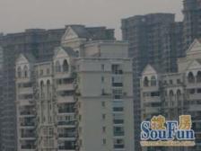 晨林花苑 2室2厅 南