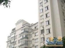 晨林花苑 1室2厅 南