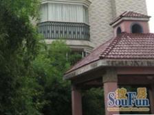 晨林花苑1室南朝向550.00万元/套出售