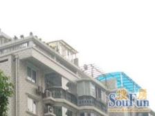 晨林花苑 3室2厅 南