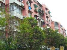 内环内一房一厅,采光视野好,近地铁,双轨交