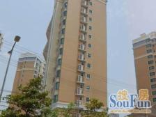 飘鹰东方花园 3室2厅 南 北