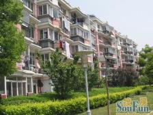 华漕·美邻苑·1室·1厅