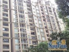 豫园21年次新房,户型方正,全明户型,房东诚意出售